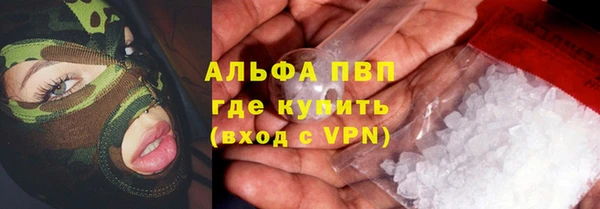 стаф Баксан