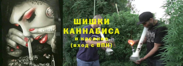стаф Баксан