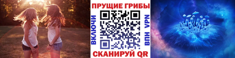 Псилоцибиновые грибы MAGIC MUSHROOMS  что такое   Железноводск 